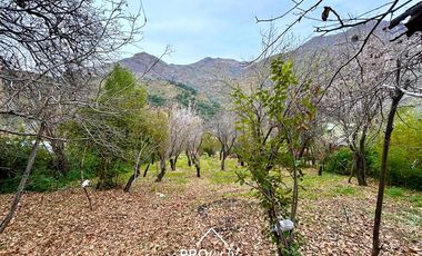 Parcela en Venta en Venta de Parcela con 2 Casas, Gran Piscina, Terreno 5.000 m2, Centro San Alfonso