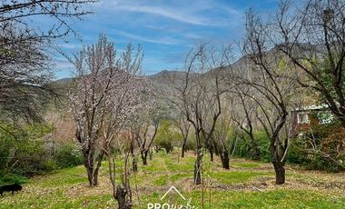 Parcela en Venta en Venta de Parcela con 2 Casas, Gran Piscina, Terreno 5.000 m2, Centro San Alfonso