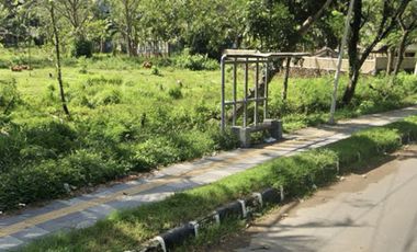 Tanah di central kuta Mandalika Lombok. Cocok utk semua jenis usaha