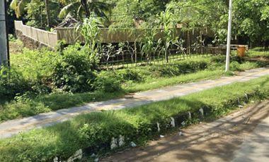 Tanah di central kuta Mandalika Lombok. Cocok utk semua jenis usaha