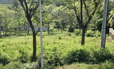 Tanah di central kuta Mandalika Lombok. Cocok utk semua jenis usaha