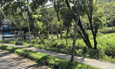 Tanah di central kuta Mandalika Lombok. Cocok utk semua jenis usaha