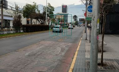 LOCAL AVDA IRARRAZAVAL