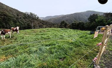 Quinta Hacienda de venta en Tarqui - Chilcatotora – código:21892