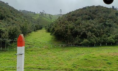 Quinta Hacienda de venta en Tarqui - Chilcatotora – código:21892