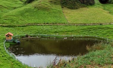 Quinta Hacienda de venta en Tarqui - Chilcatotora – código:21892