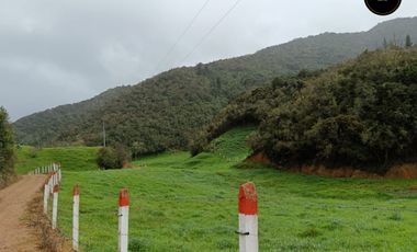 Quinta Hacienda de venta en Tarqui - Chilcatotora – código:21892