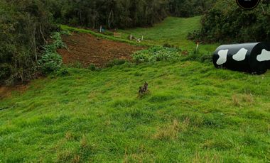Quinta Hacienda de venta en Tarqui - Chilcatotora – código:21892