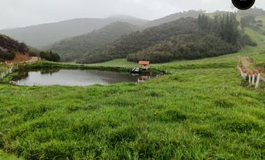 Quinta Hacienda de venta en Tarqui - Chilcatotora – código:21892