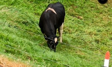 Quinta Hacienda de venta en Tarqui - Chilcatotora – código:21892