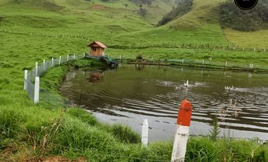 Quinta Hacienda de venta en Tarqui - Chilcatotora – código:21892