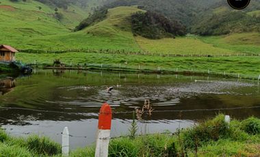 Quinta Hacienda de venta en Tarqui - Chilcatotora – código:21892
