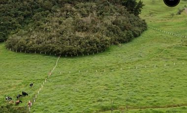 Quinta Hacienda de venta en Tarqui - Chilcatotora – código:21892