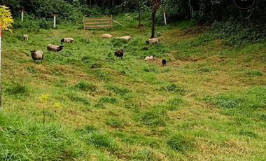 Quinta Hacienda de venta en Tarqui - Chilcatotora – código:21892