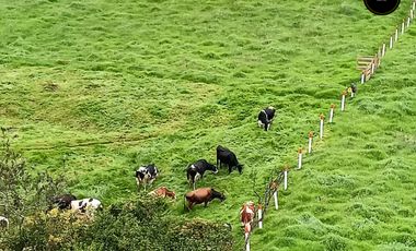Quinta Hacienda de venta en Tarqui - Chilcatotora – código:21892