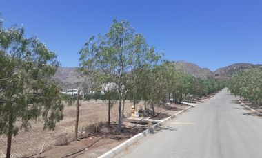 SE VENDE HERMOSA PARCELA SECTOR CHACABUCO ,COLINA