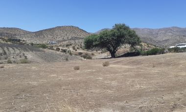 SE VENDE HERMOSA PARCELA SECTOR CHACABUCO ,COLINA