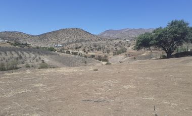 SE VENDE HERMOSA PARCELA SECTOR CHACABUCO ,COLINA