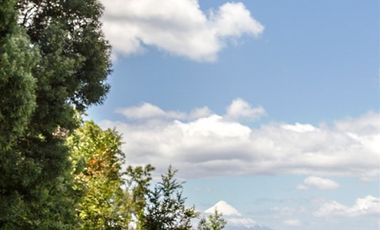 Casa en Venta en Orilla de Lago, Molino Viejo