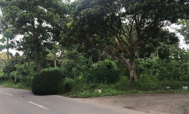 Cash Bertahap Tanah Murah di Argomulyo Salatiga u/ cluster, kavling