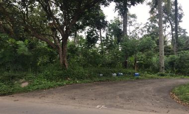 Cash Bertahap Tanah Murah di Argomulyo Salatiga u/ cluster, kavling