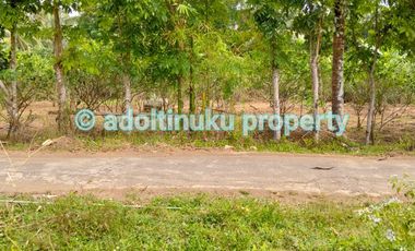 Tanah persegi dengan lebar muka 60 m di mertoyudan magelang