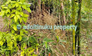 Tanah persegi dengan lebar muka 60 m di mertoyudan magelang