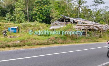 Tanah tepi jalan provinsi tidak jauh dari candi borobudur magelang