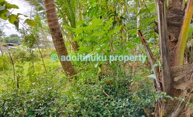 Tanah tepi jalan provinsi tidak jauh dari candi borobudur magelang