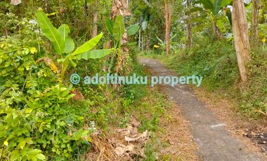 Tanah tepi jalan provinsi tidak jauh dari candi borobudur magelang