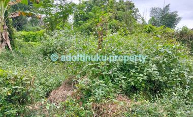 Tanah murah lebar muka 60 m, di kawasan industri, tempuran, magelang