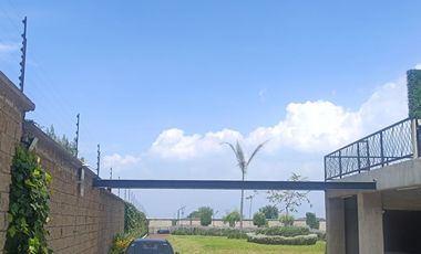 Departamento de lujo en renta planta baja Metepec, 10 minutos Tec Milenio 5 min UVM