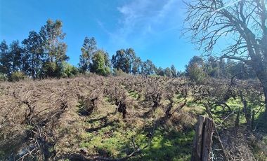 Parcela en Venta en Pantanollo,sector El Carmen, Laja