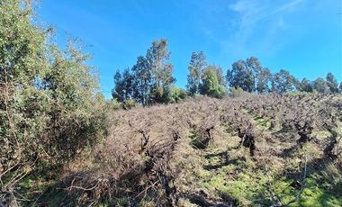 Parcela en Venta en Pantanollo,sector El Carmen, Laja