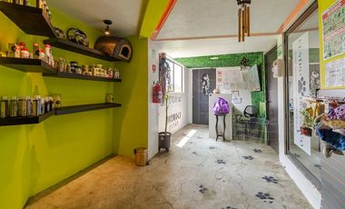¡Oportunidad única! Casa colonial con amplio jardín y gran potencial de inversión