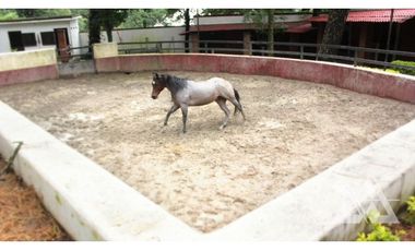 Venta Rancho  Hípico en Huitzilac / Morelos