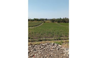 Terreno - Temixco Centro