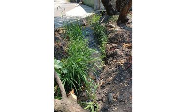 Terreno - Temixco Centro