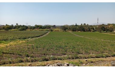 Terreno - Temixco Centro