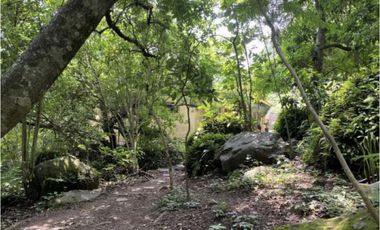 Casa en venta  un nivel en Tepoztlán, Morelos