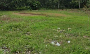 Dijual tanah kebun duren manggis Jl. Wisata Cipanas, 48.814 m2, SHM