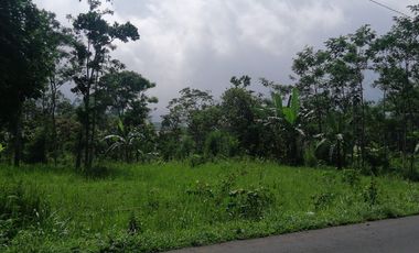 Jual Cepat Tanah SHM MURAH di Argomulyo Salatiga dekat Fasum