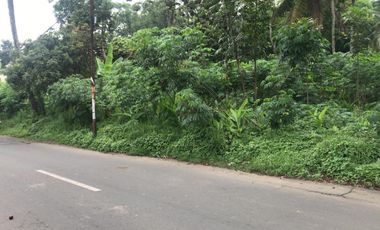 Jual Cepat Tanah SHM MURAH di Argomulyo Salatiga dekat Fasum