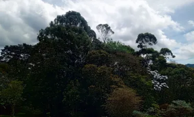 Villa en Arriendo en El Retiro