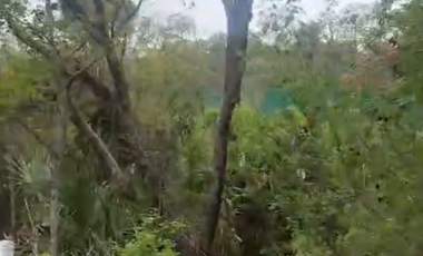 Terreno urbano‑semiindustrial de 3,398 m² carretera México‑Laredo SLP