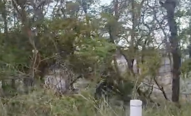 Terreno urbano‑semiindustrial de 3,398 m² carretera México‑Laredo SLP