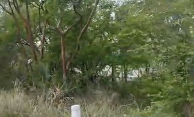 Terreno urbano‑semiindustrial de 3,398 m² carretera México‑Laredo SLP