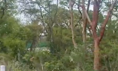 Terreno urbano‑semiindustrial de 3,398 m² carretera México‑Laredo SLP