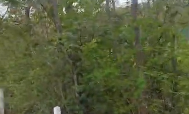 Terreno urbano‑semiindustrial de 3,398 m² carretera México‑Laredo SLP