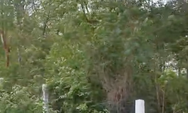 Terreno urbano‑semiindustrial de 3,398 m² carretera México‑Laredo SLP